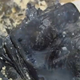 The remains of a Samsung Galaxy Note 7 believed to have started a house fire in South Carolina (WMBF News screenshot)